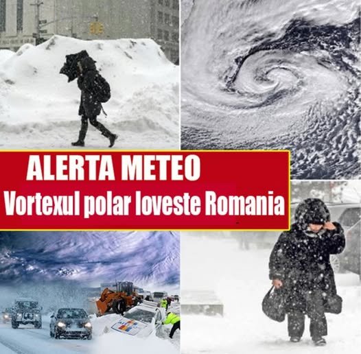 598547907 1450212669802947 1680819346616817896 n